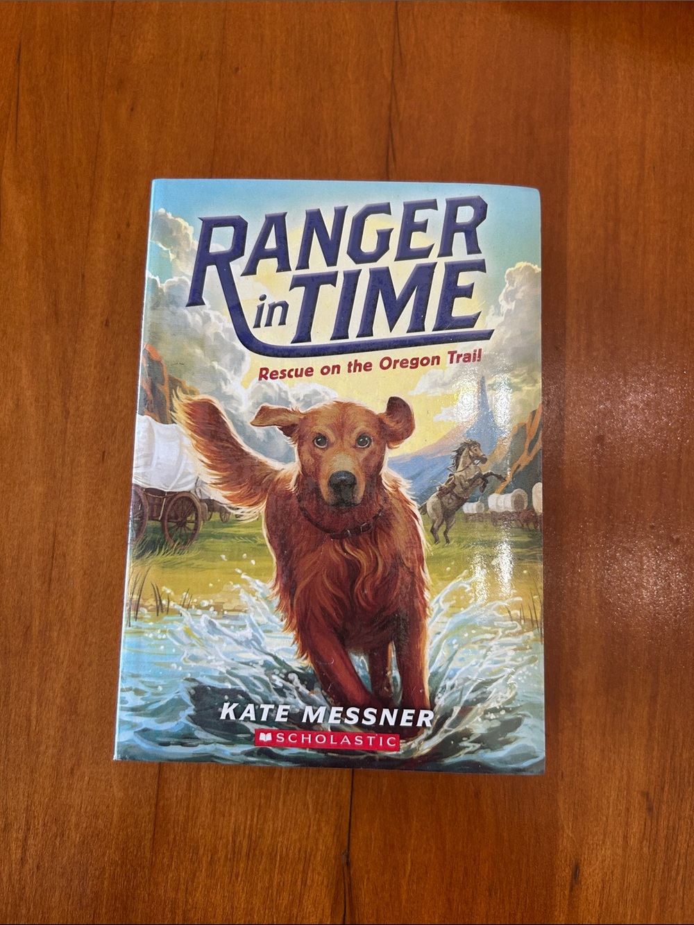 NEW Set of 6 Ranger in Time Books